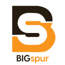 BigSpur | Big Data Projects Experts
